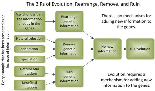 The 3 Rs of Evolution: Rearrange information, Remove information, and Ruin information.